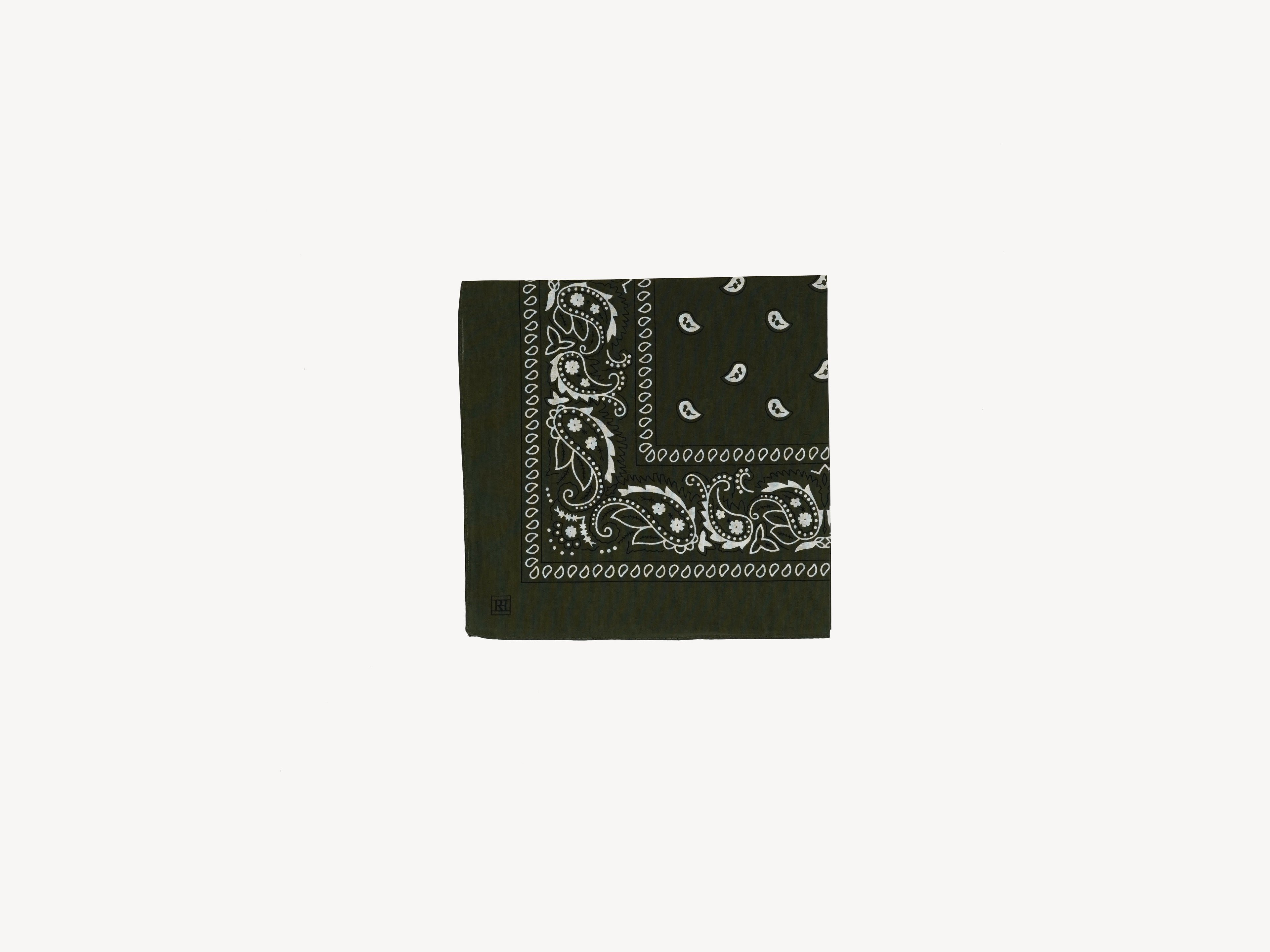 Paisley Cotton Scarf