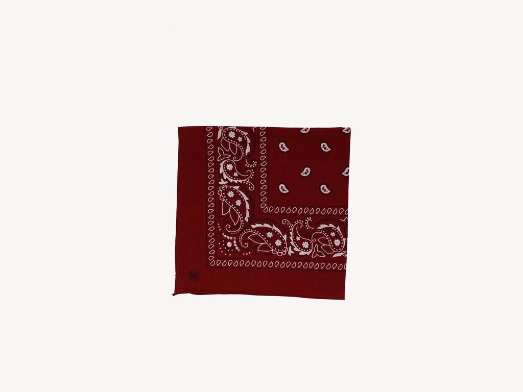 Paisley Cotton Scarf